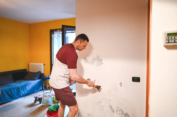 Best Black Mold Remediation in Bingham Farms, MI